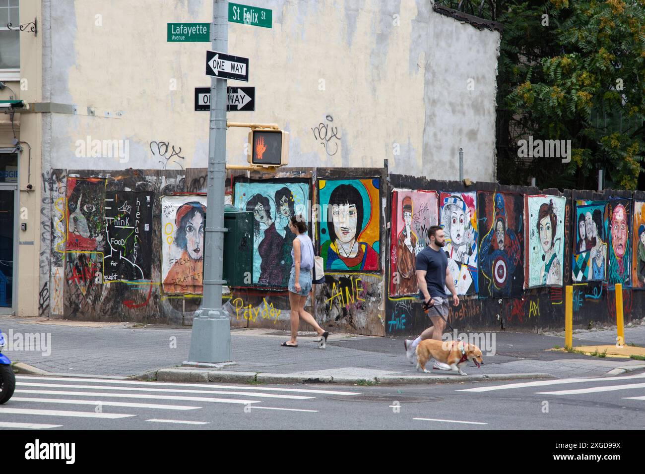portrait-wall-on-construction-site-at-the-corner-of-st-felix-lafayette-streets-across-the-street-from-the-brooklyn-acadamy-of-music-bam-in-the-fort-greene-neighborhood-of-brooklyn-ny-2XGD99X.jpg
