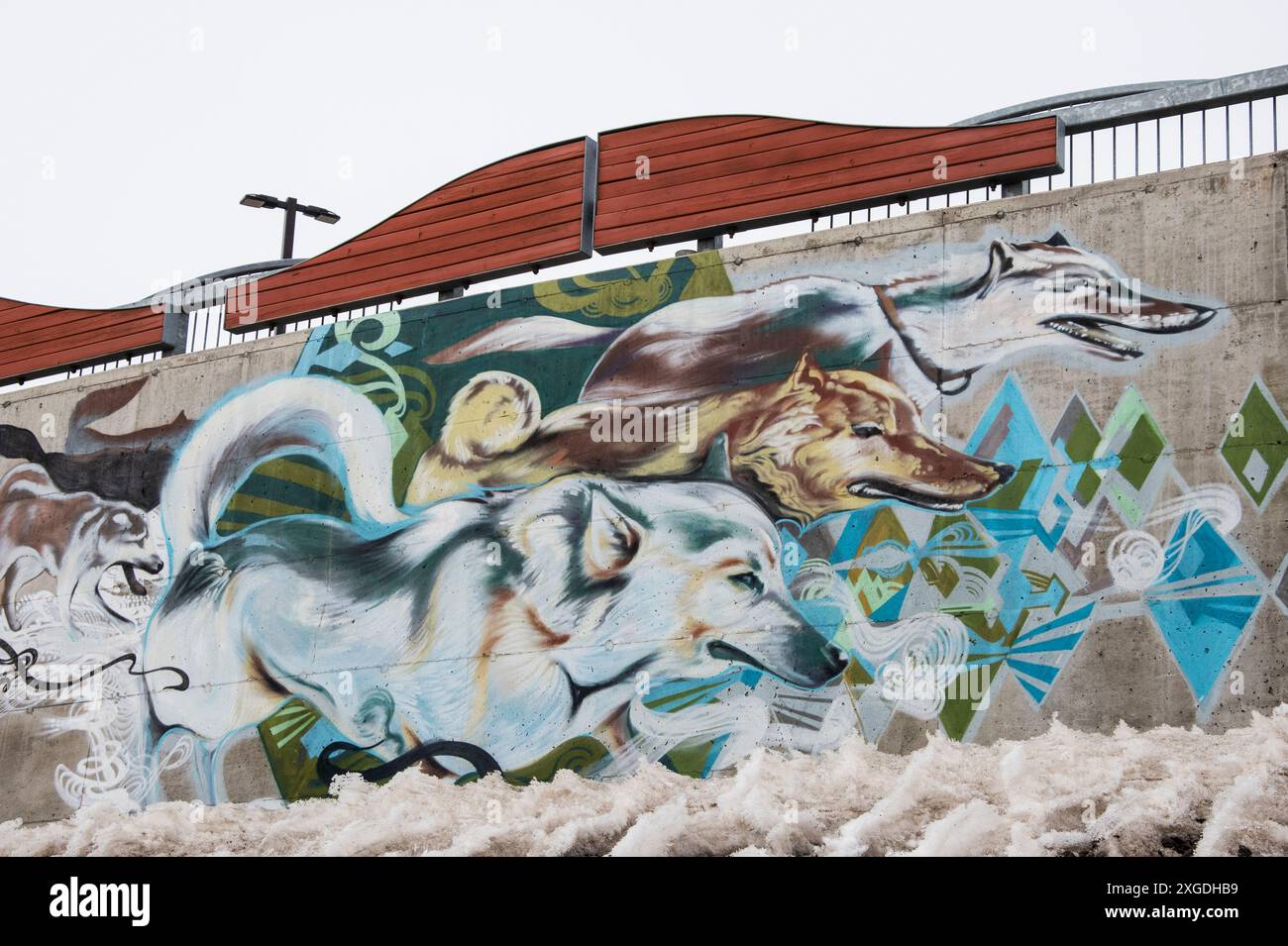 Sled dogs mural under the theme of 'Come Together' at Qikiqtani General Hospital in Iqaluit, Nunavut, Canada Stock Photo