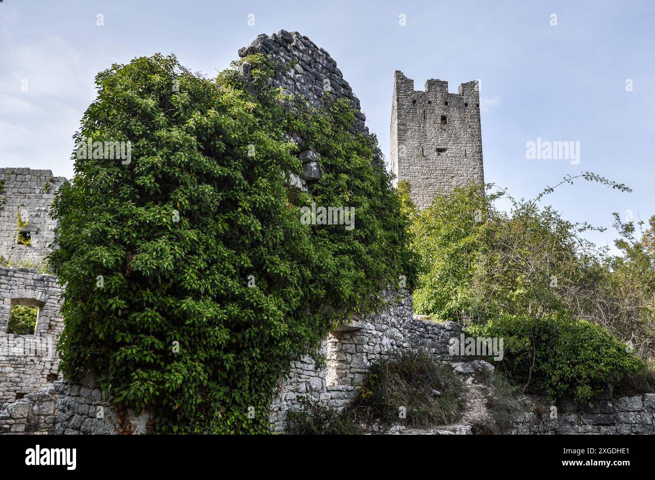 Ancient walls covered with wild vegetation. Dvigrad fortress, Istria Stock Photo