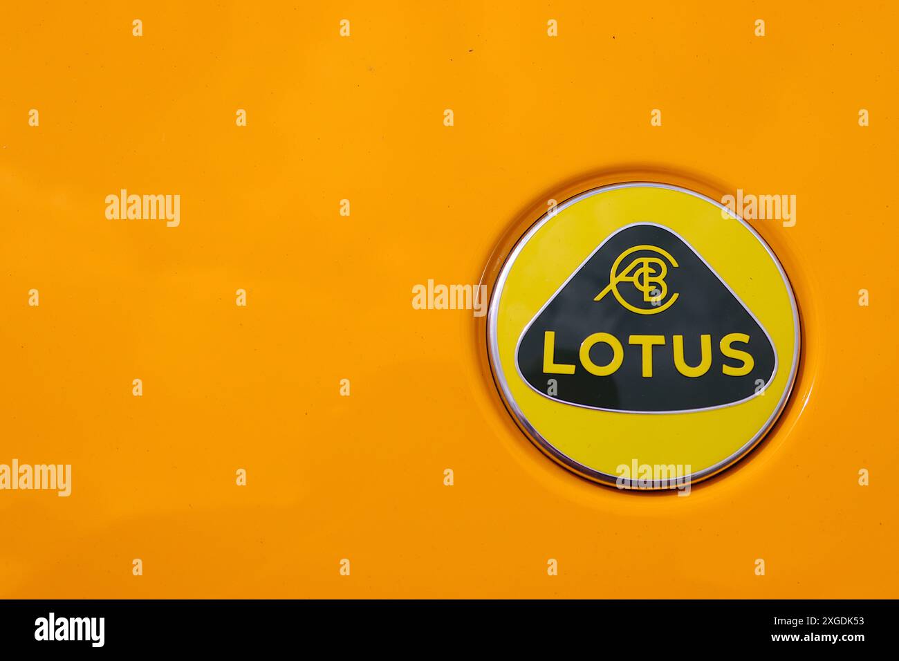 Close up of the unmistakable famous Lotus cars badge fitted to a Lotus Esprit Turbo SE finished in chrome yellow, June 2024. Stock Photo