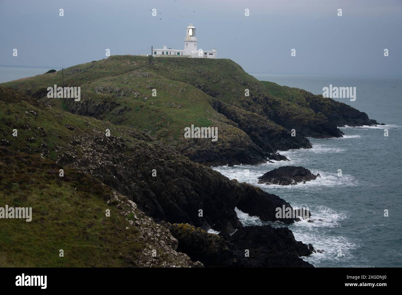 Blick auf den Leuchtturm von Strumble Head im spektakulären Pembrokeshire Nationalpark Stock Photo