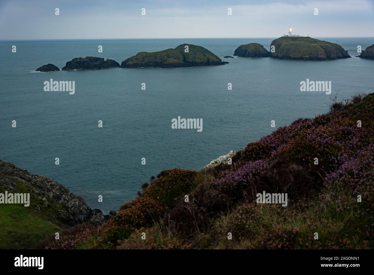 Blick auf den Leuchtturm von Strumble Head im spektakulären Pembrokeshire Nationalpark Stock Photo