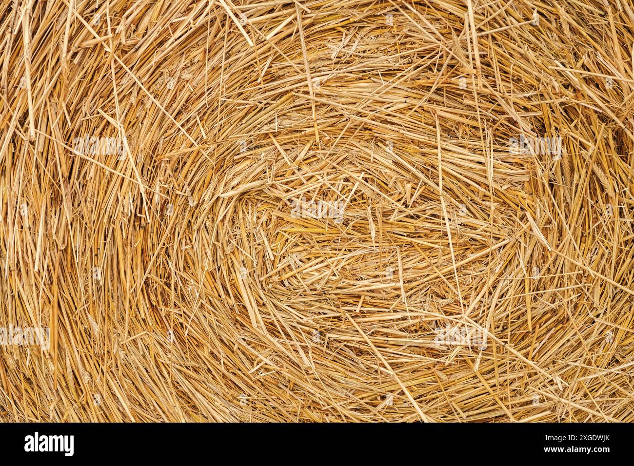 straw summer background. haystack straw prepared for farm. Stack dry ...