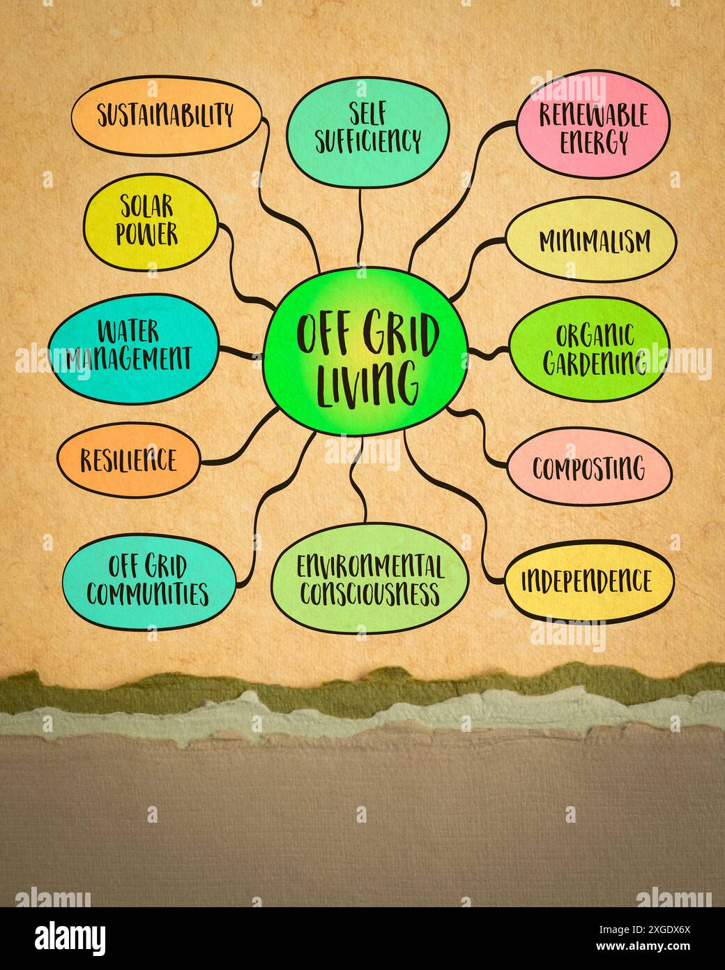 Off Grid / For The Mind Off Grid / For The Mind