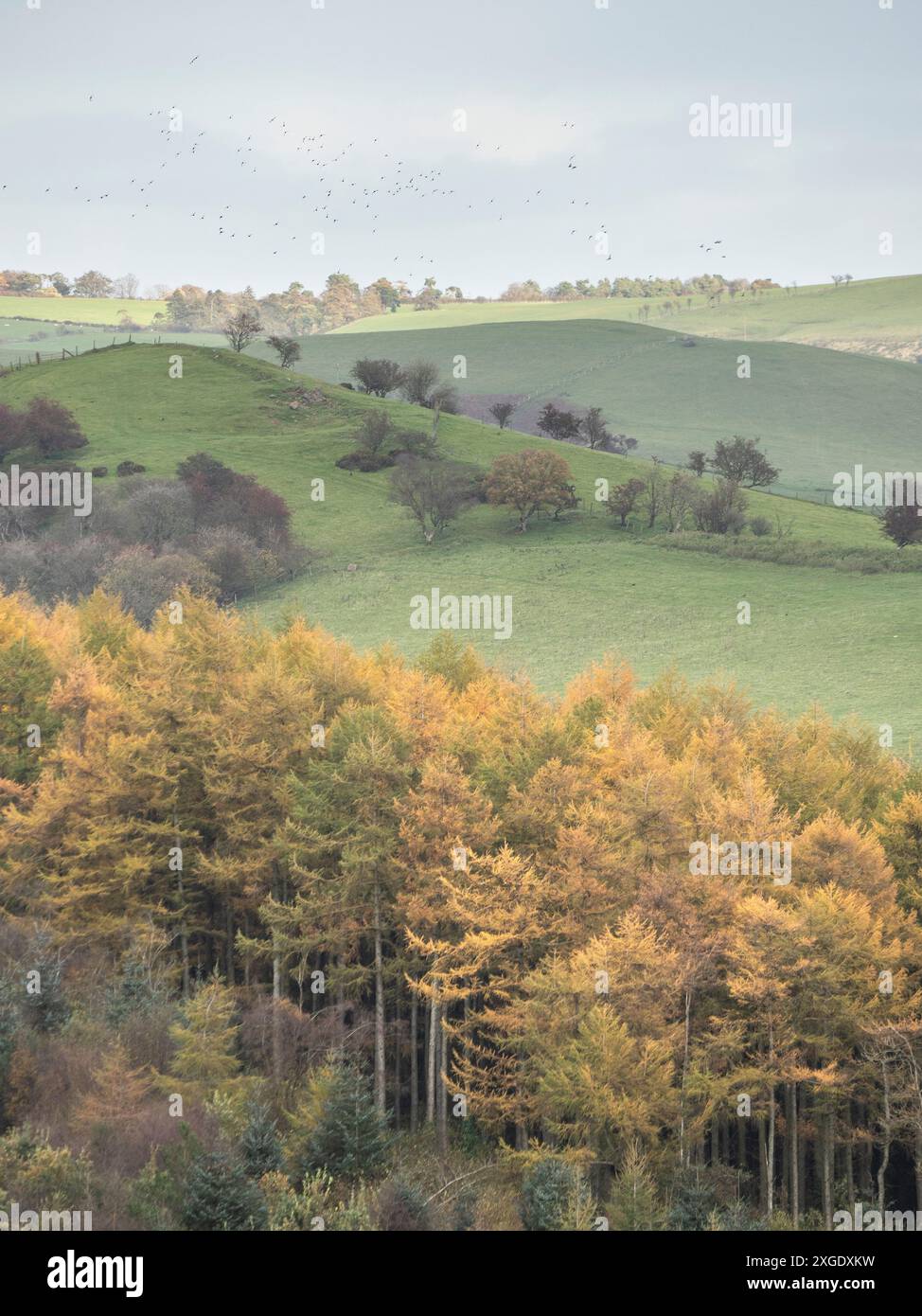 Dramatic scenery and views from the Stiperstones, an exposed quartzite ...