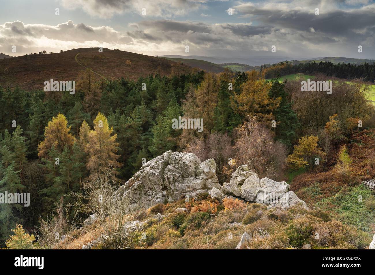 Dramatic scenery and views from the Stiperstones, an exposed quartzite ...