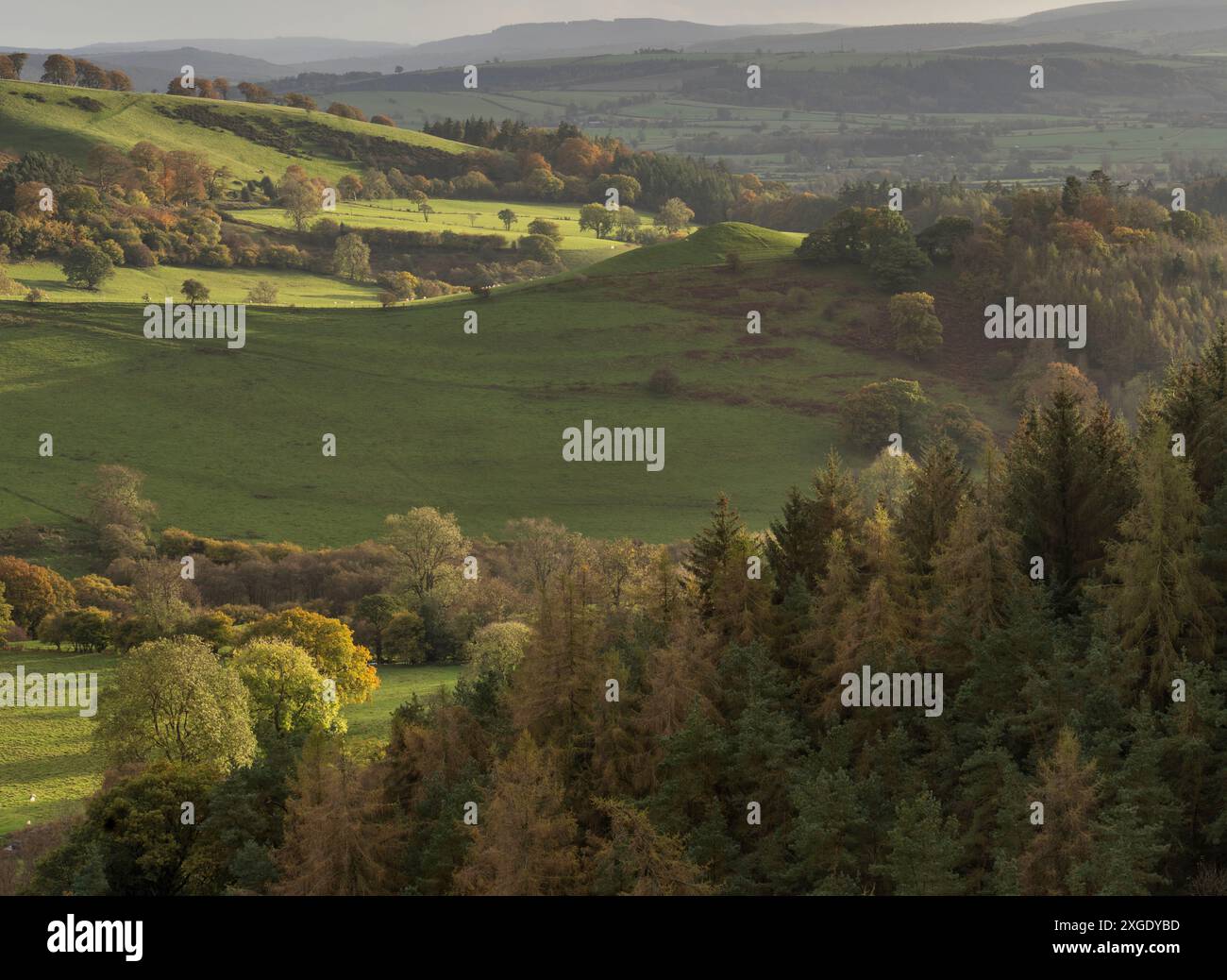 Dramatic scenery and views from the Stiperstones, an exposed quartzite ...