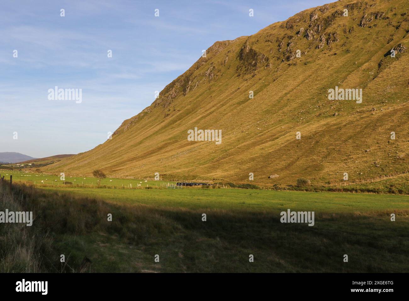 Irish countryside County Donegal rugged landscape evening sunlight sheep in Glencolmcille Valley County Donegal. Stock Photo