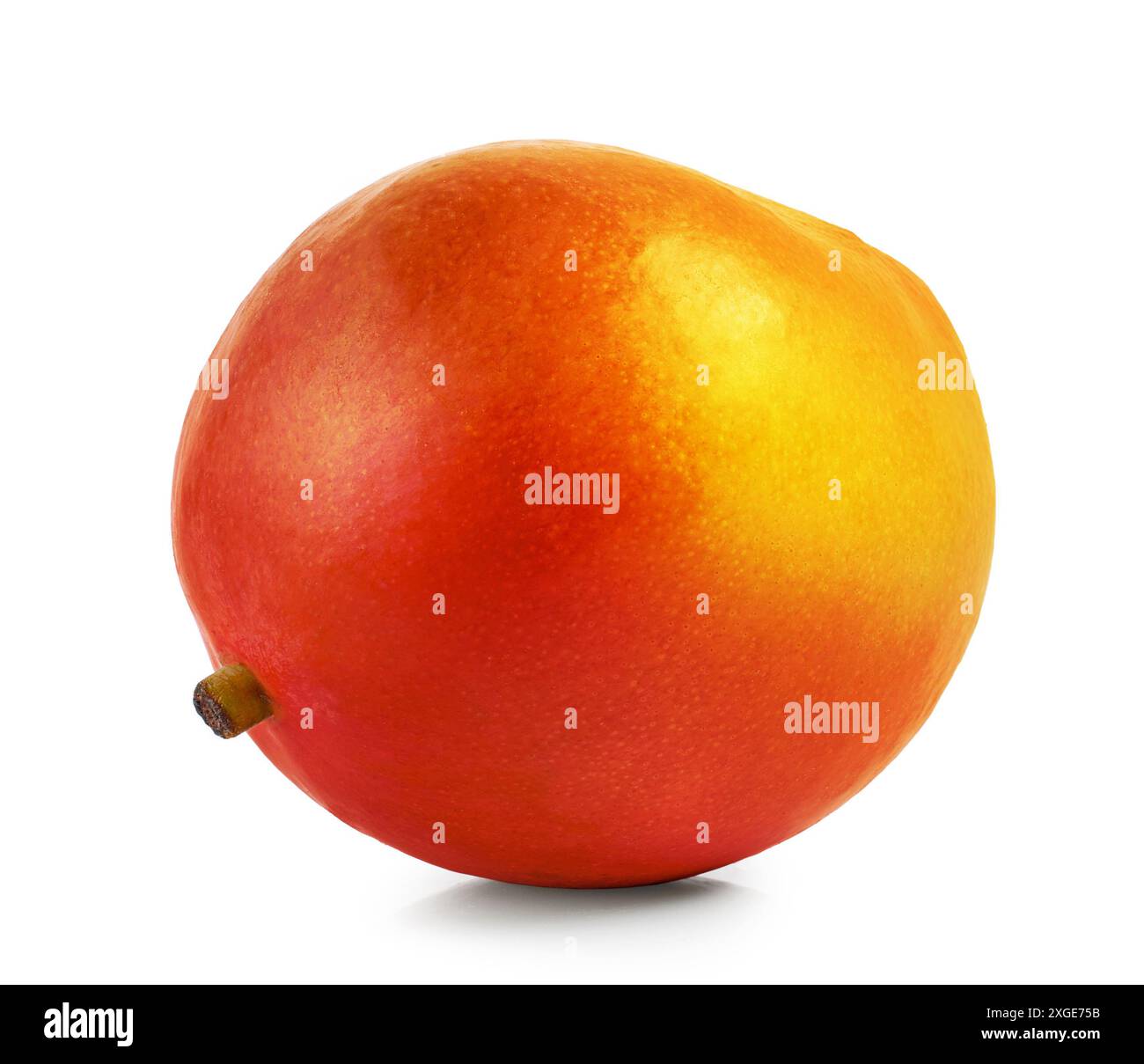fresh ripe whole mango fruit isolated on white background Stock Photo