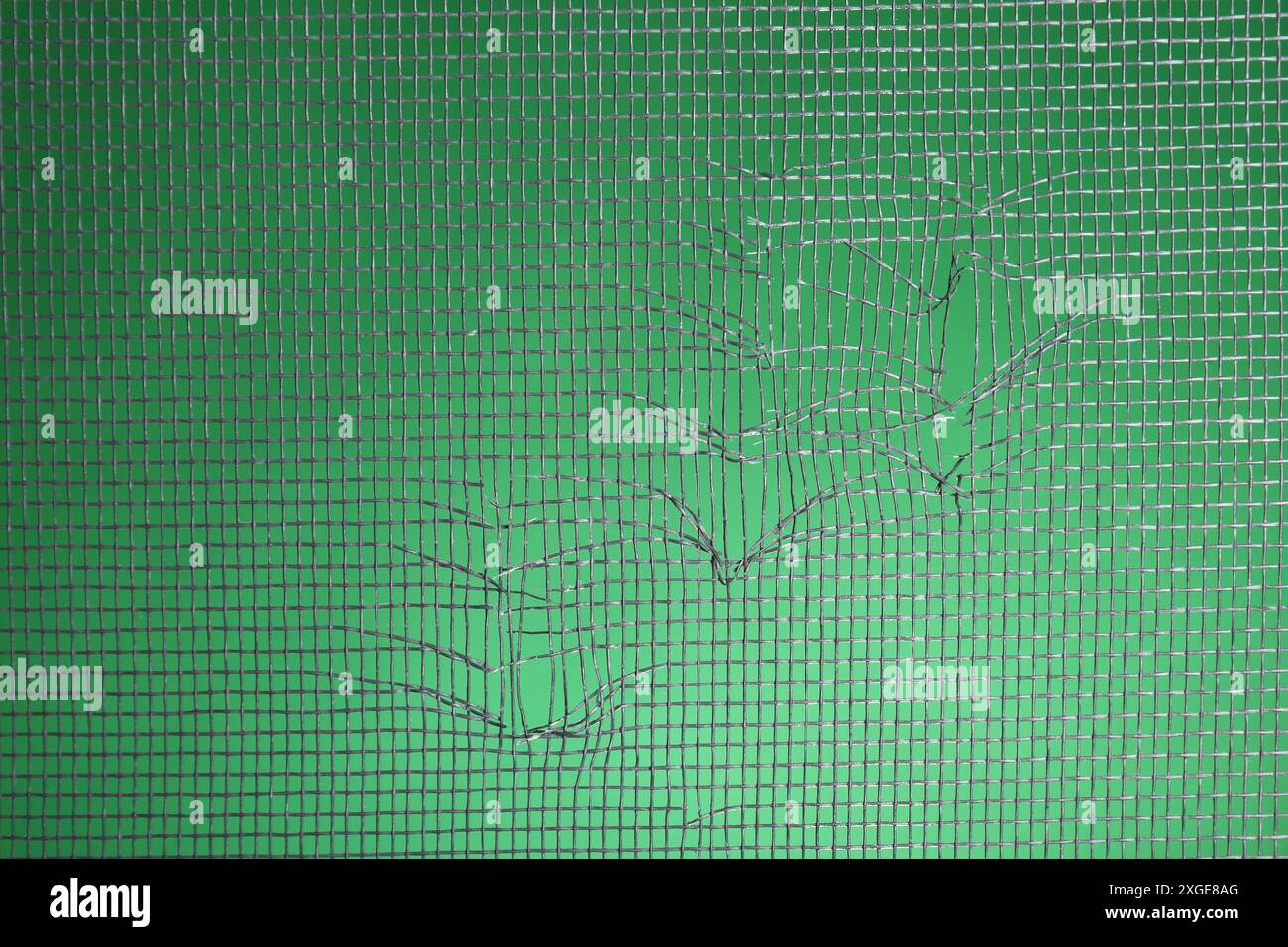 Torn window screen against green background, closeup Stock Photo