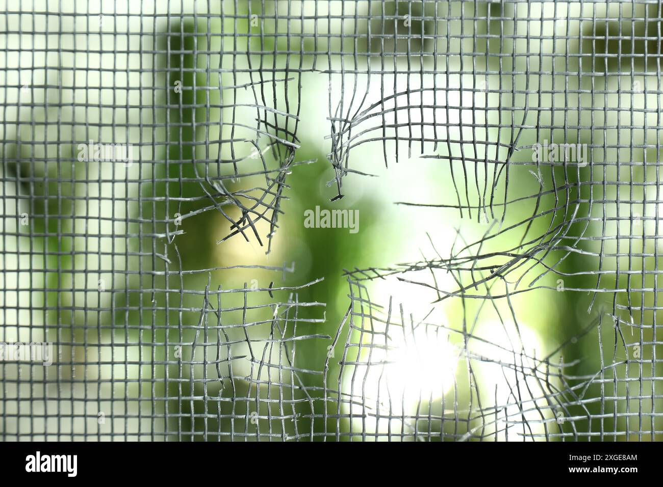 Torn window screen against blurred background, closeup Stock Photo