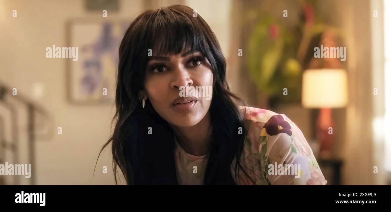 TYLER PERRY'S DIVORCE IN THE BLACK, (aka DIVORCE IN THE BLACK), Meagan