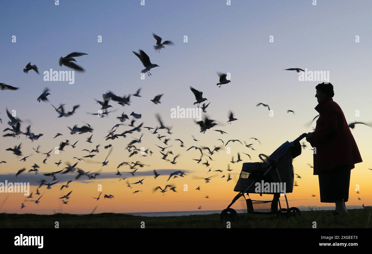 Silhouette of an old women feed birds at dusk Stock Photo