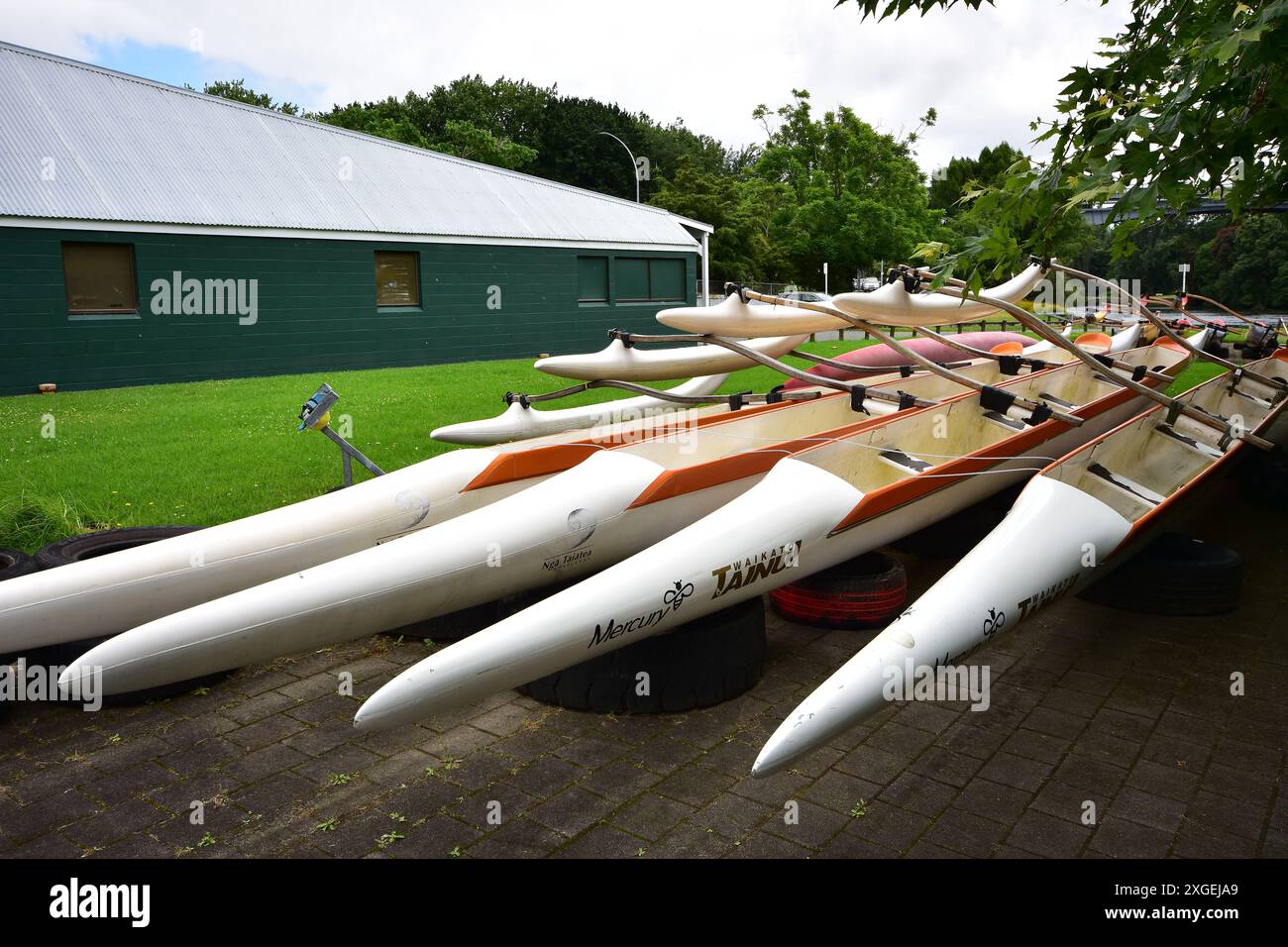 Modern composite waka ama paddle boats stacked on shore next to boating club building. Location: Waikato New Zealand Stock Photo