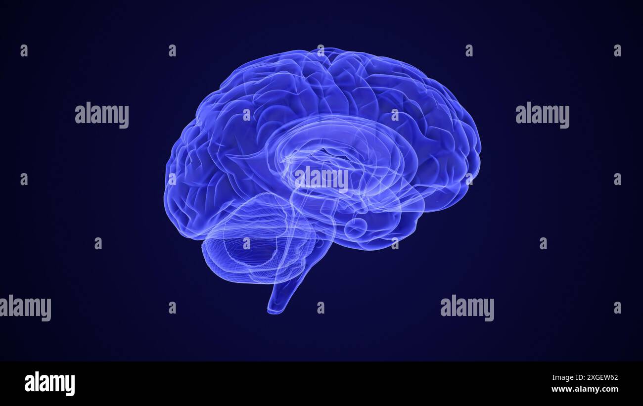 Mapping Chronic Pain in the Brain Stock Photo - Alamy