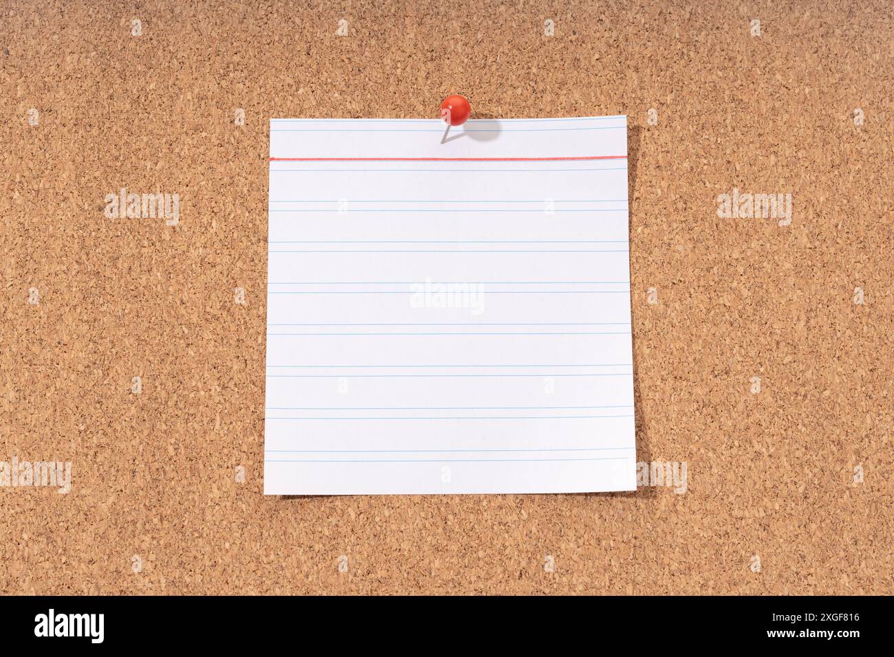 White Blank note on a cork board for adding text and push pin. Mock up Stock Photo