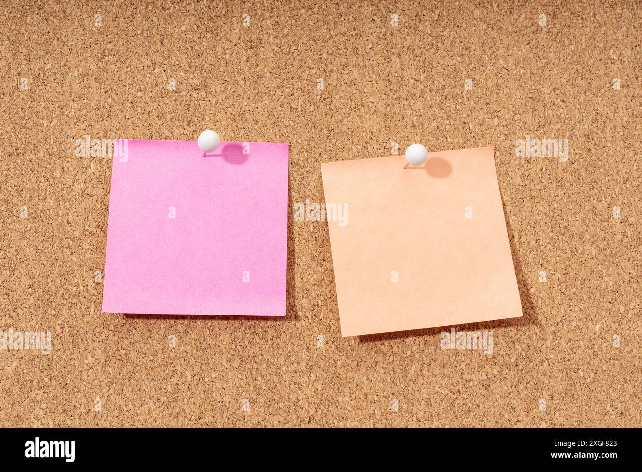 Two Blank note on a cork board for adding text and push pin. Mock up Stock Photo