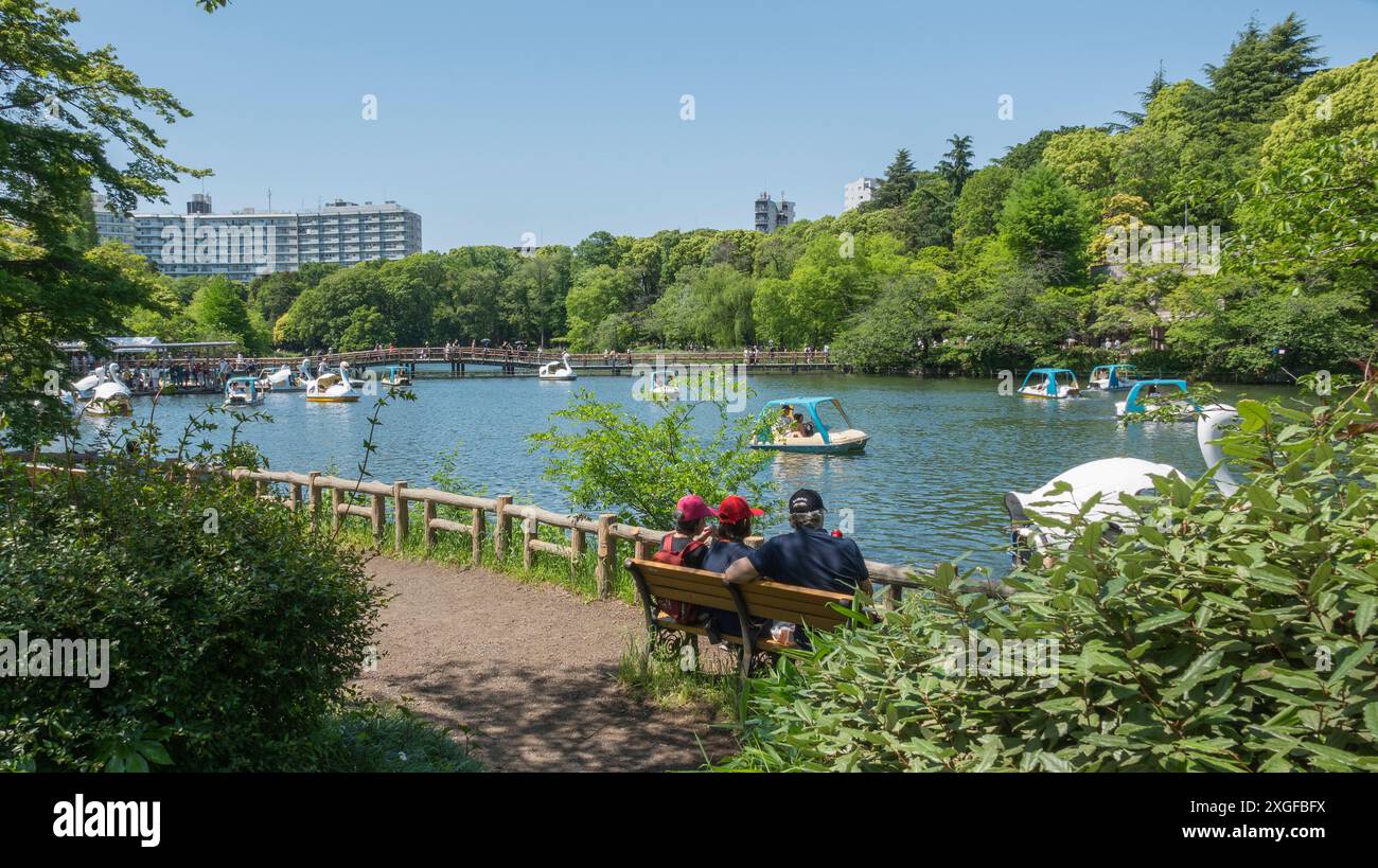 Swan paddle boats on Inokashira Pond, Inokashira Onshi Park, on a bright, sunny, spring day in Tokyo. Stock Photo