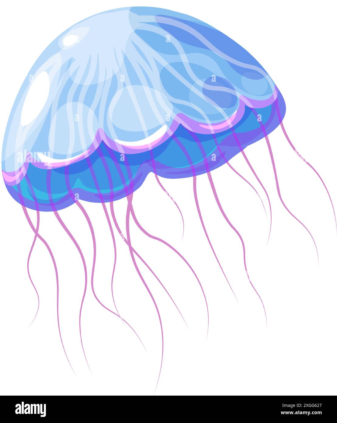 Graceful Blue Jellyfish Vector illustration Stock Vector Image & Art ...