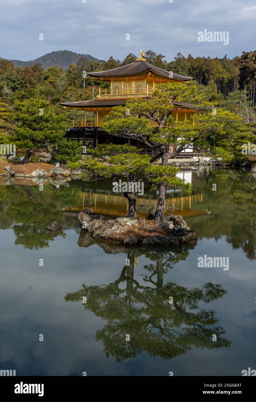 Temples and shrines during the cherry blossom (sakura) season and festivals, Kyoto, Honshu, Japan, Asia Stock Photo