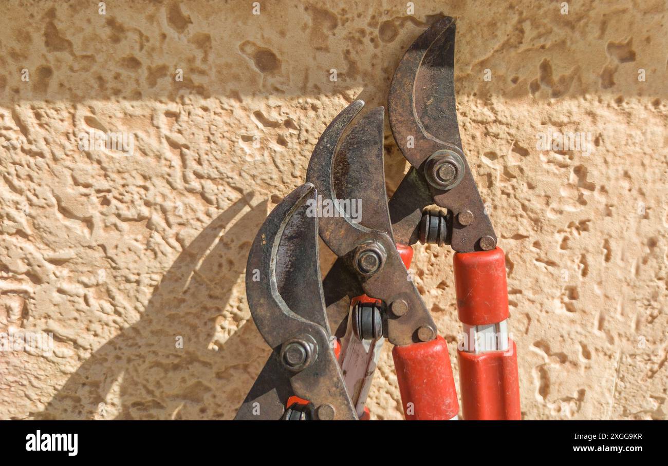 Two-handed shears over rock surface. Pruning activities in gardens ...