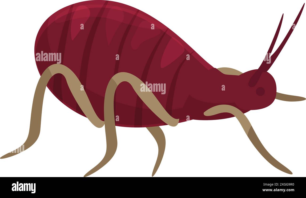 Red mite crawling, this parasite insect can spread diseases Stock ...