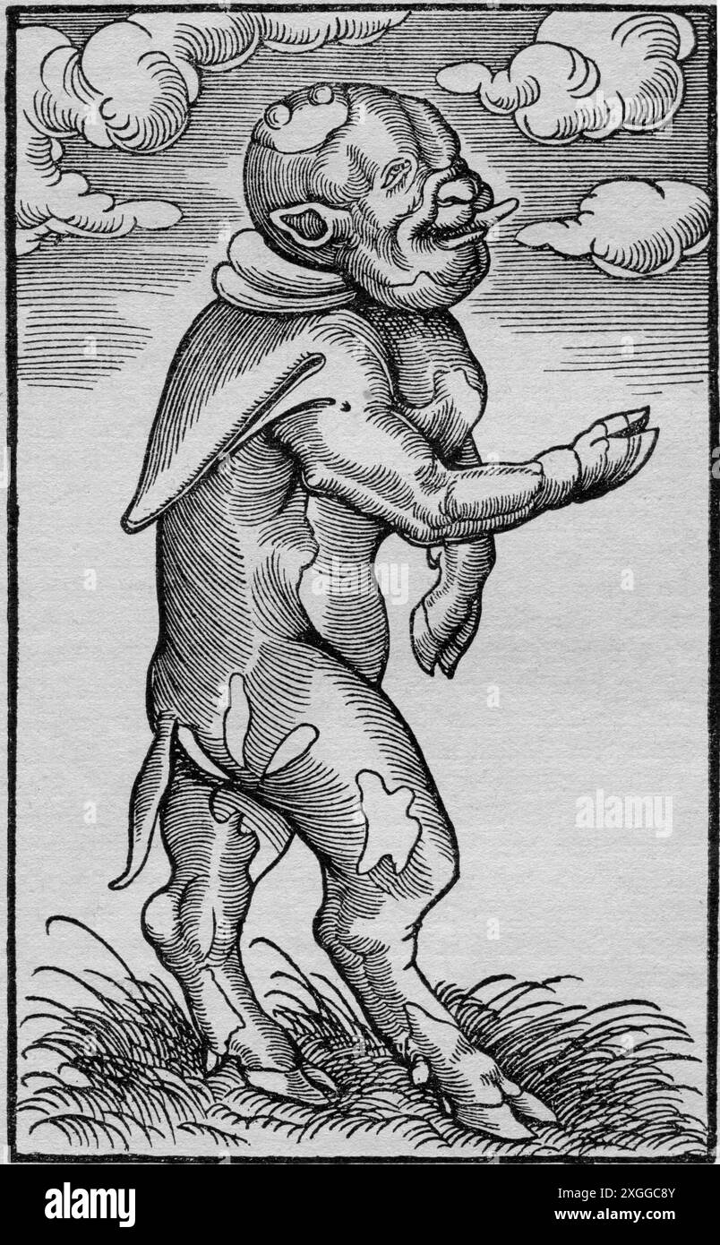 events, Reformation, 1517 - 1555, ARTIST'S COPYRIGHT HAS NOT TO BE CLEARED Stock Photo