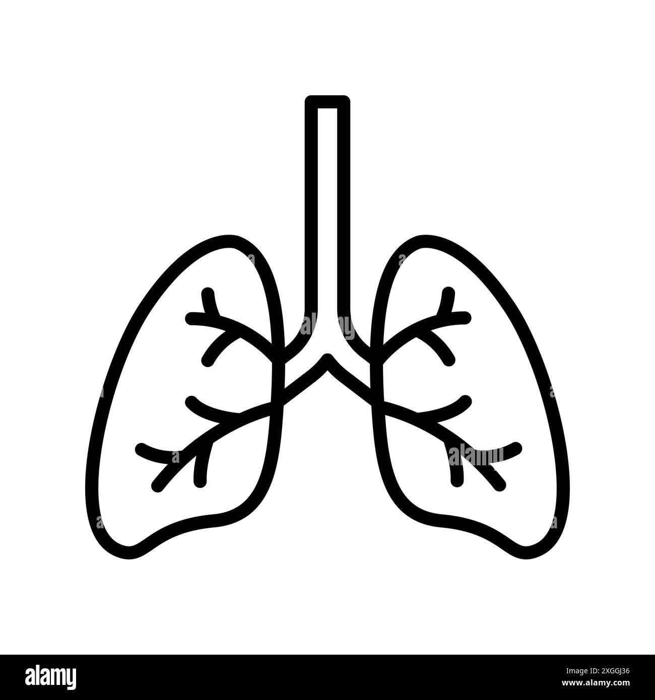 lungs icon vector design template in white background Stock Vector ...