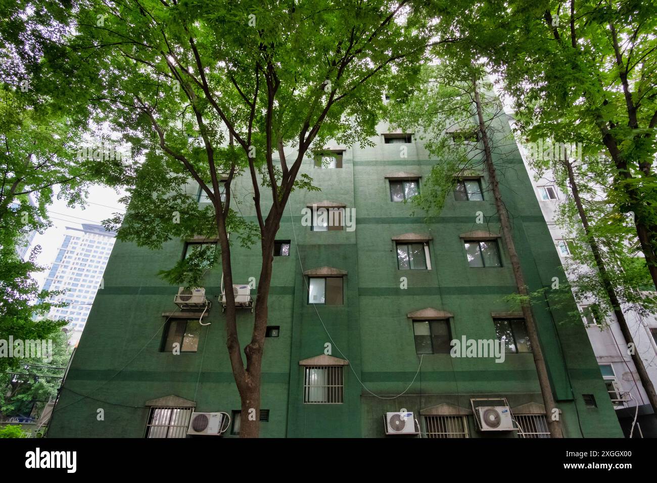 Green apartment building surrounded by lush trees, blending urban architecture with nature Stock Photo