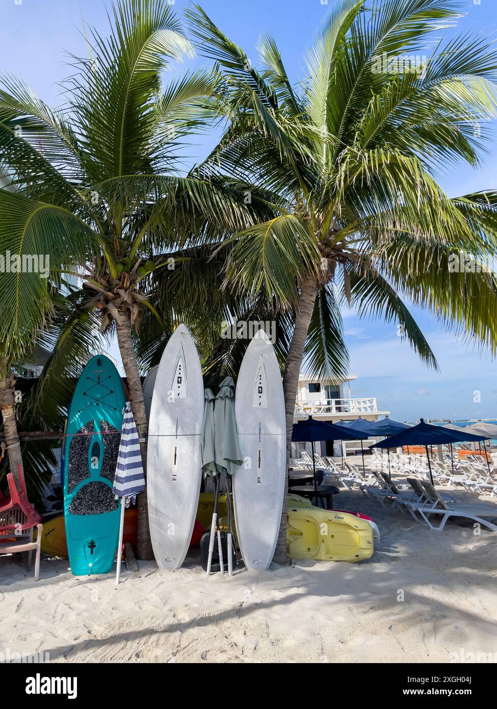 Tropical beach with palm trees and surfboards. Caribbean beach Stock ...