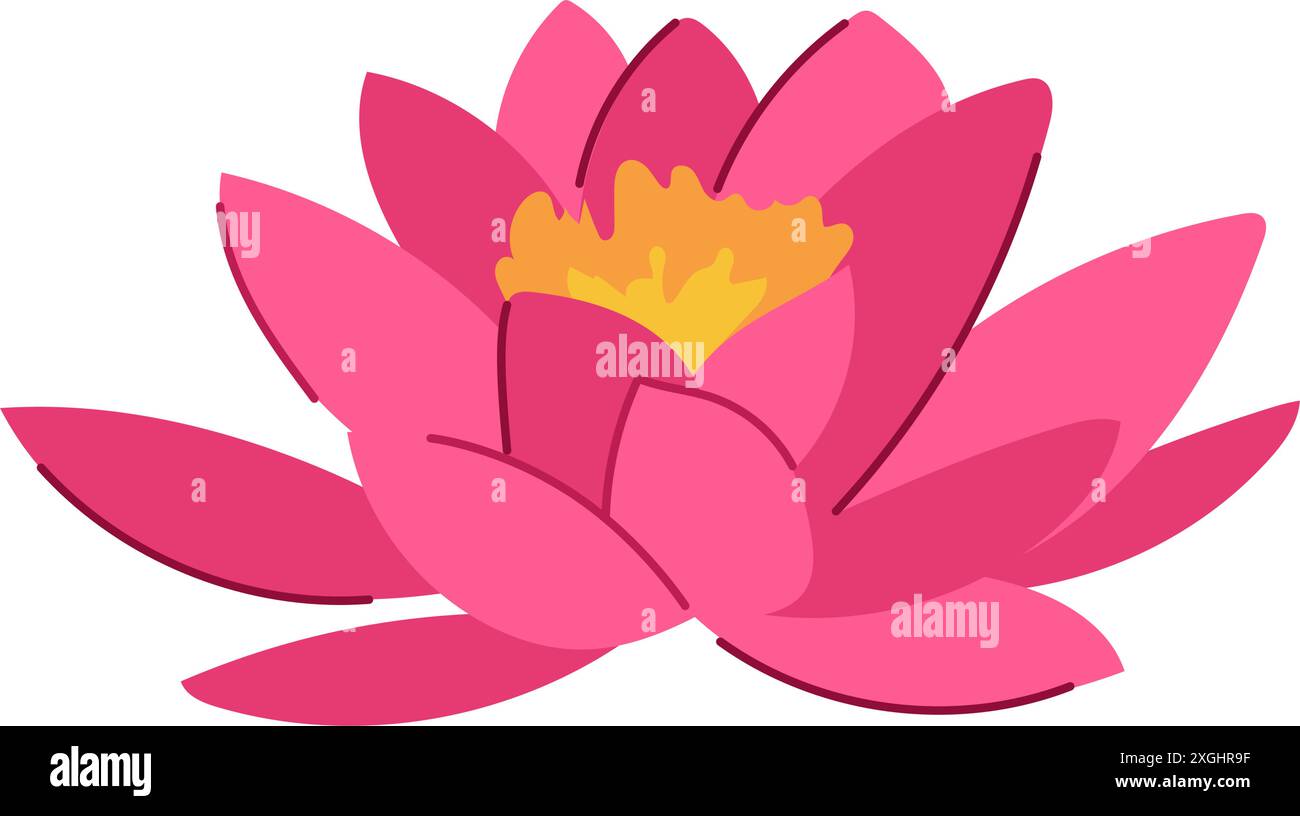 blossom lotus flower cartoon vector illustration Stock Vector Image ...