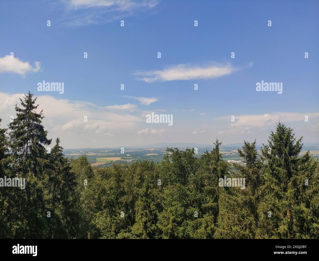 Lush green landscape dotted hi-res stock photography and images - Alamy