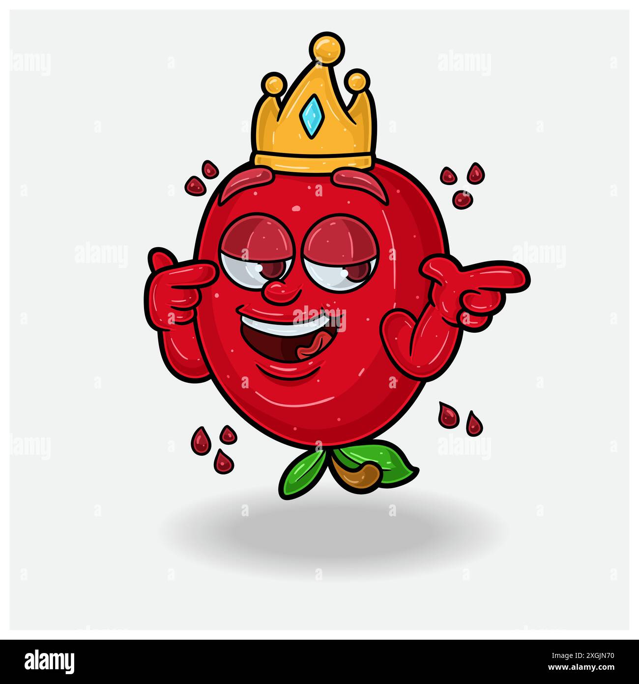 Pomegranate fruit Mascot Character Cartoon With Smug expression. For brand, label, packaging and product. Vector Illustration Stock Vector