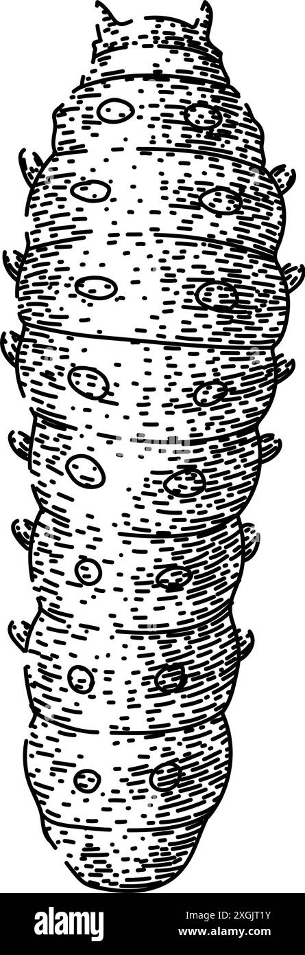 insect caterpillar sketch hand drawn vector Stock Vector Image & Art ...
