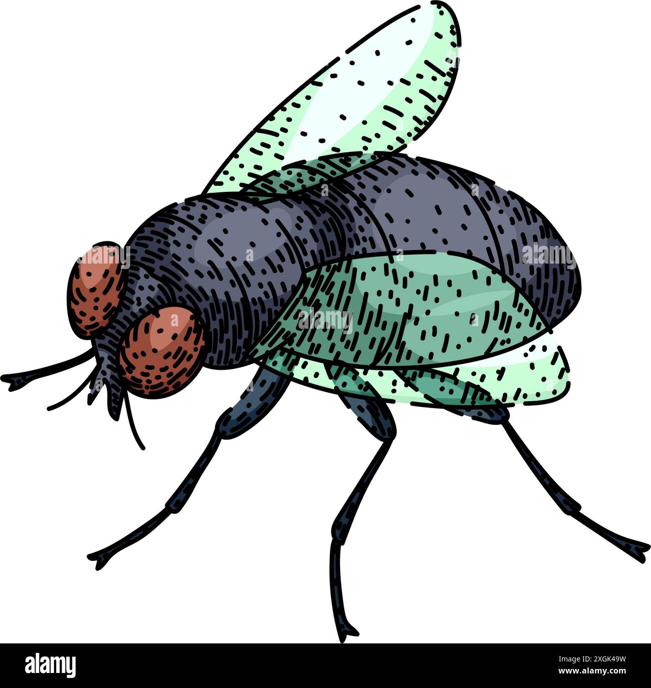 Beewolf Stock Vector Images - Alamy