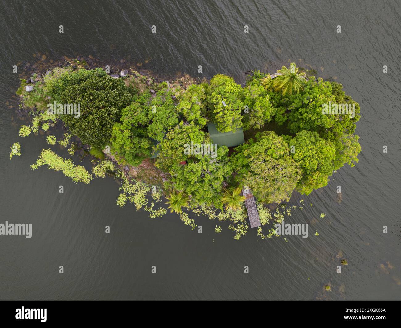 Small green tropical island above top drone view Stock Photo