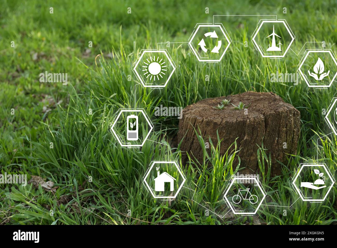 Environmental protection. Many different icons around tree stump among ...
