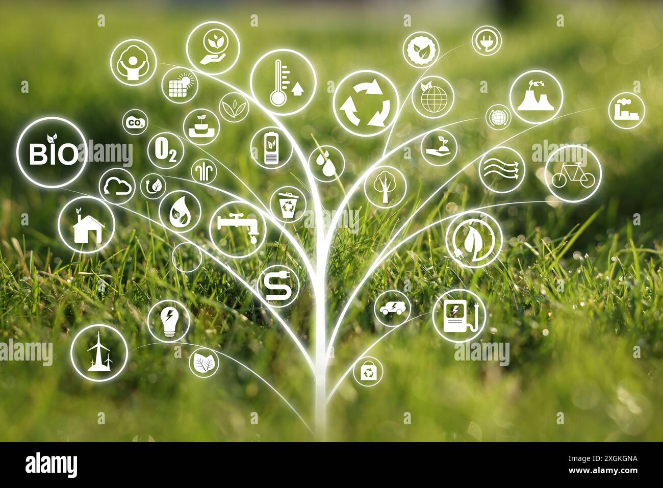 Environmental protection. Digital tree with many different icons and ...