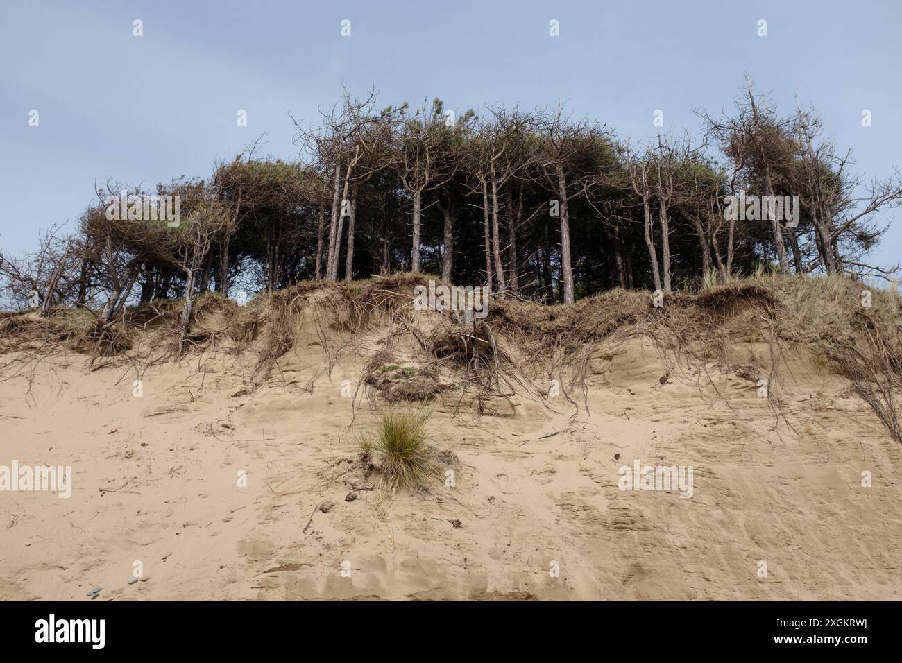 Erosion at the beach hi-res stock photography and images - Alamy