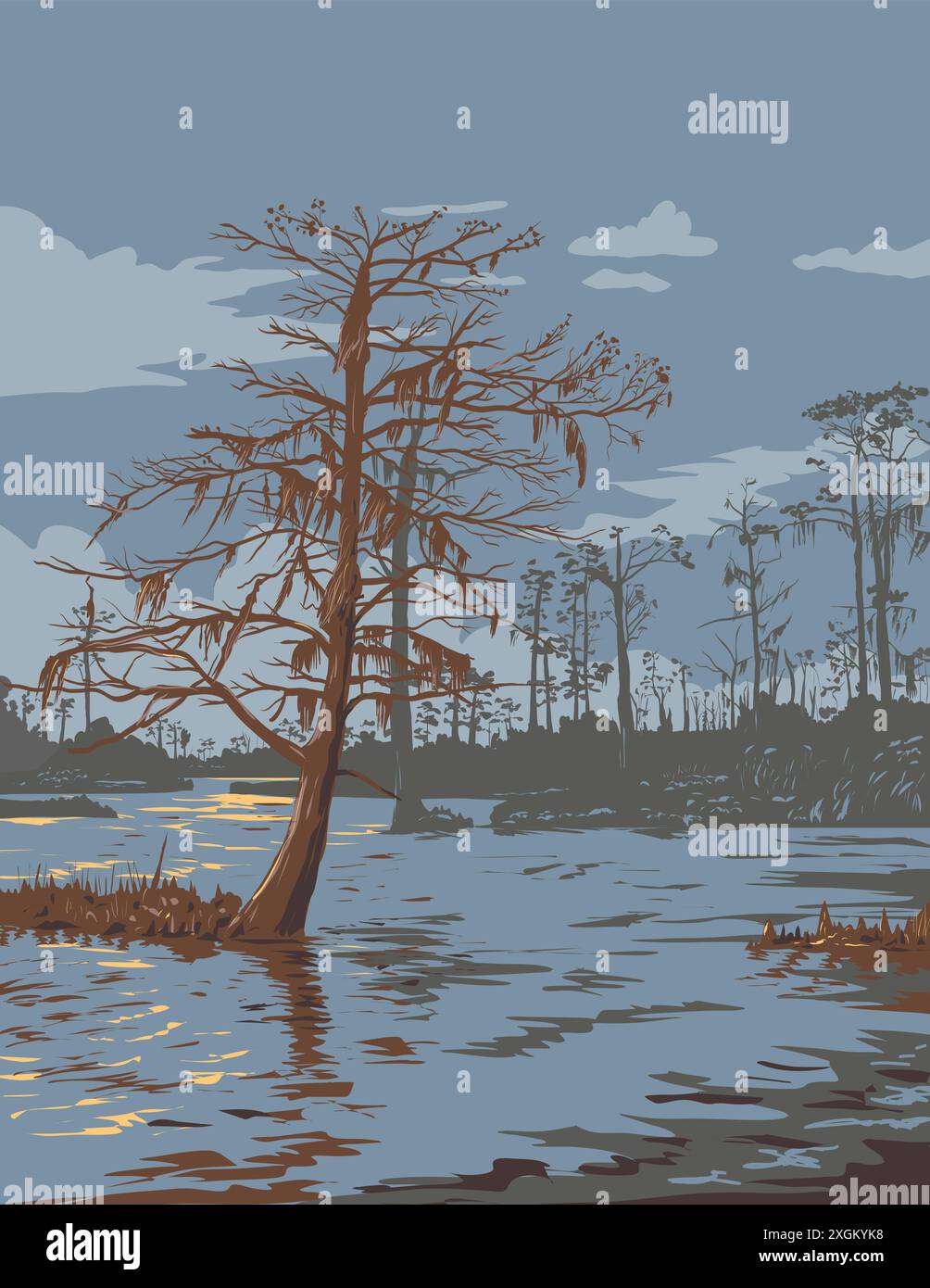 Cypress moss Stock Vector Images - Alamy