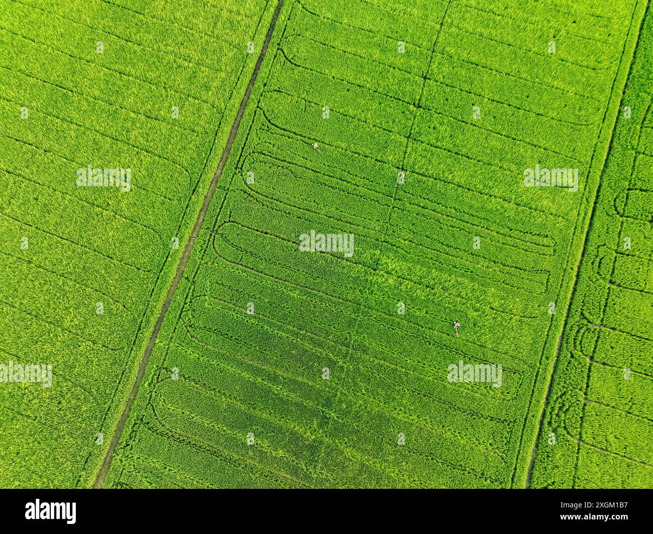 Sustainable agriculture aerial hi-res stock photography and images - Alamy