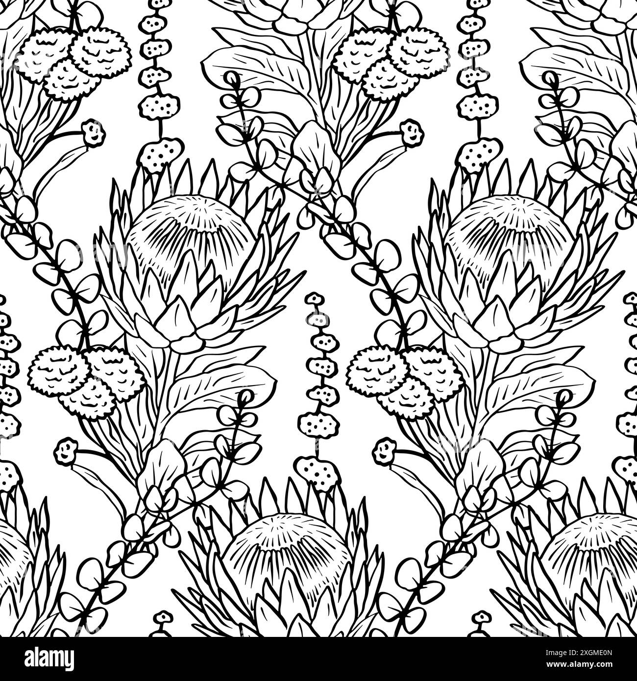 Black and white seamless pattern with line art protea flowers Stock ...