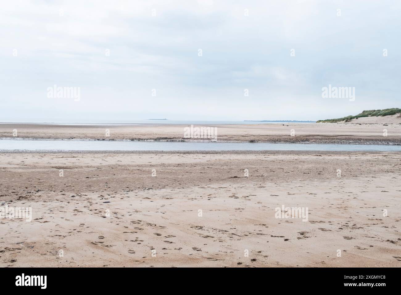 Deserted beach in Northumberland with couple and dog Stock Photo - Alamy