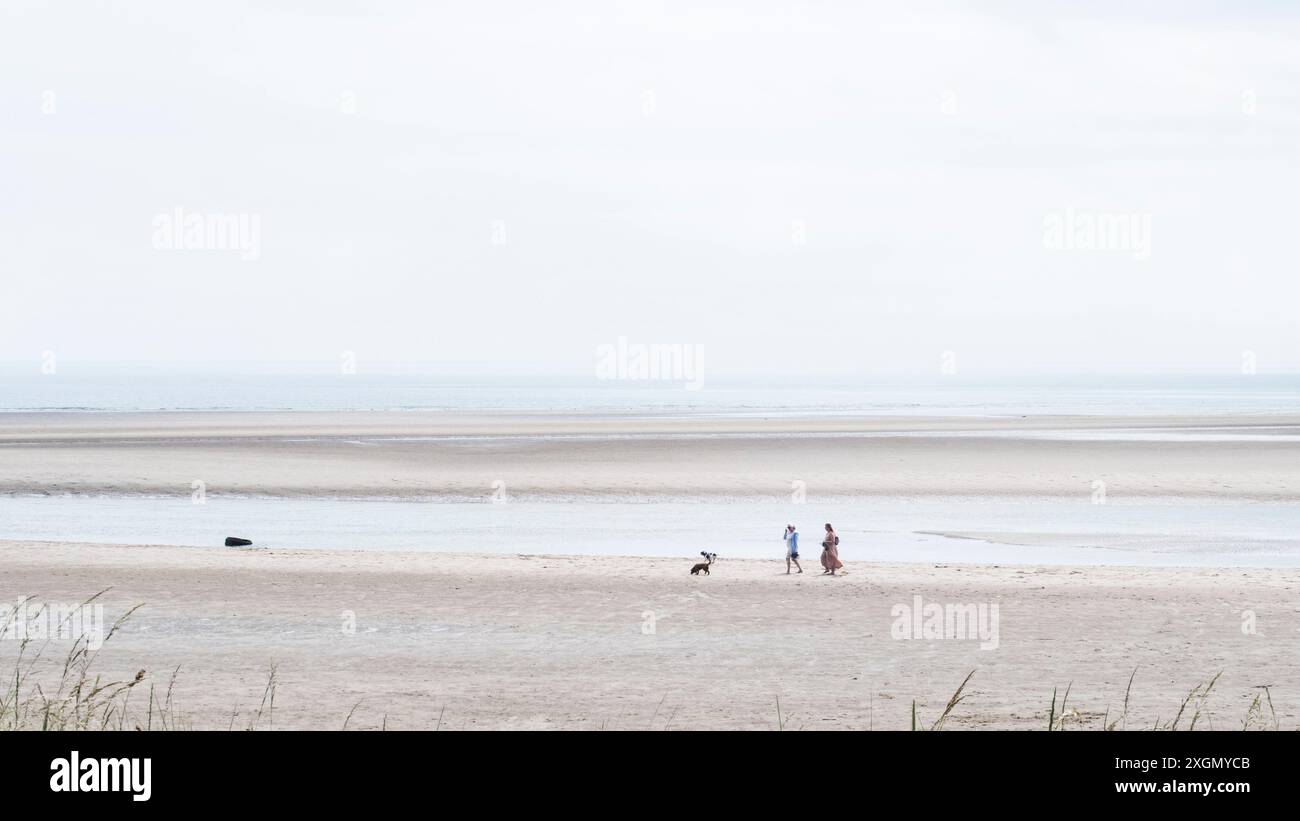 Deserted beach with dog hi-res stock photography and images - Alamy