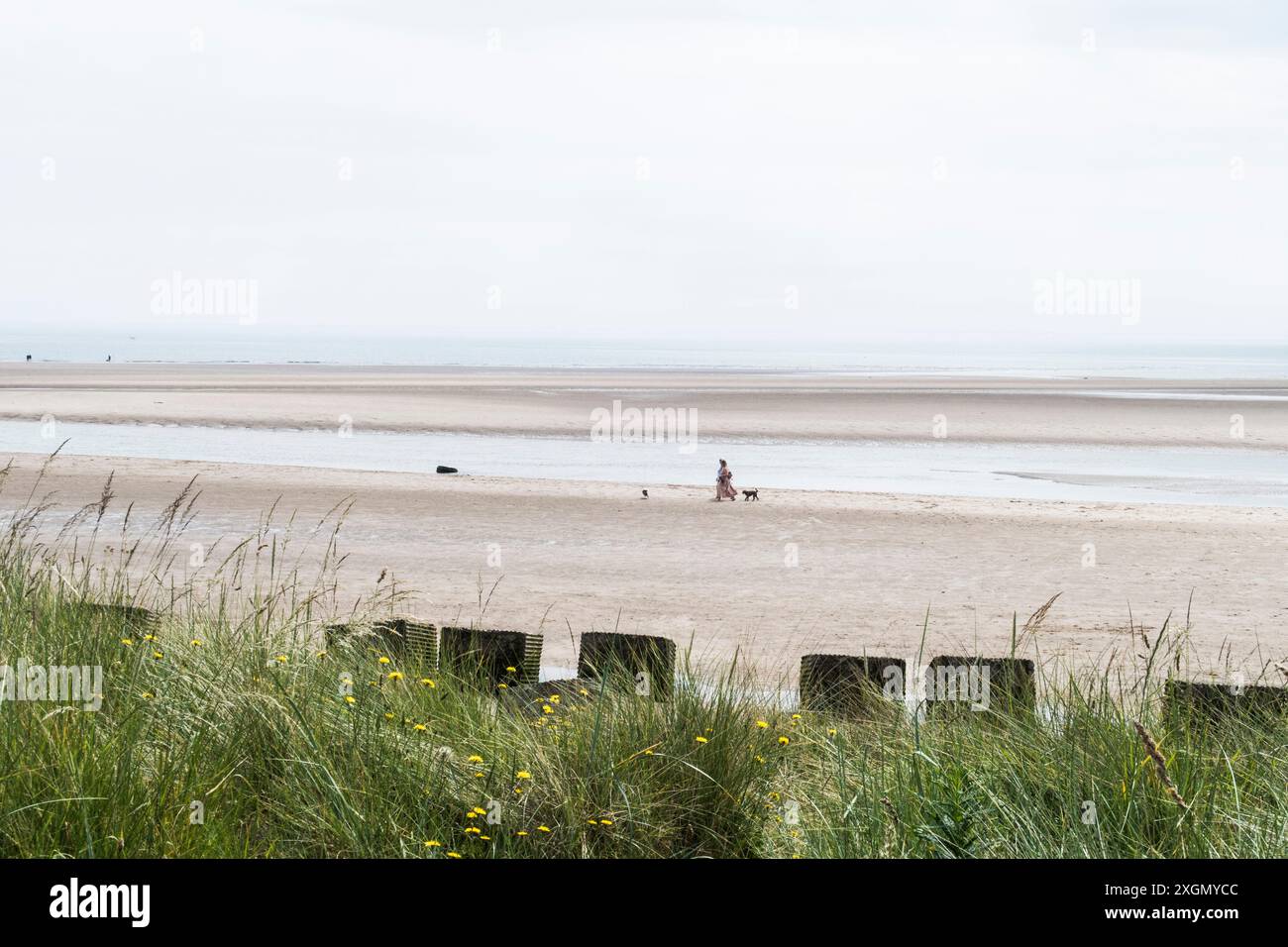 Couple with dog on beach hi-res stock photography and images - Alamy