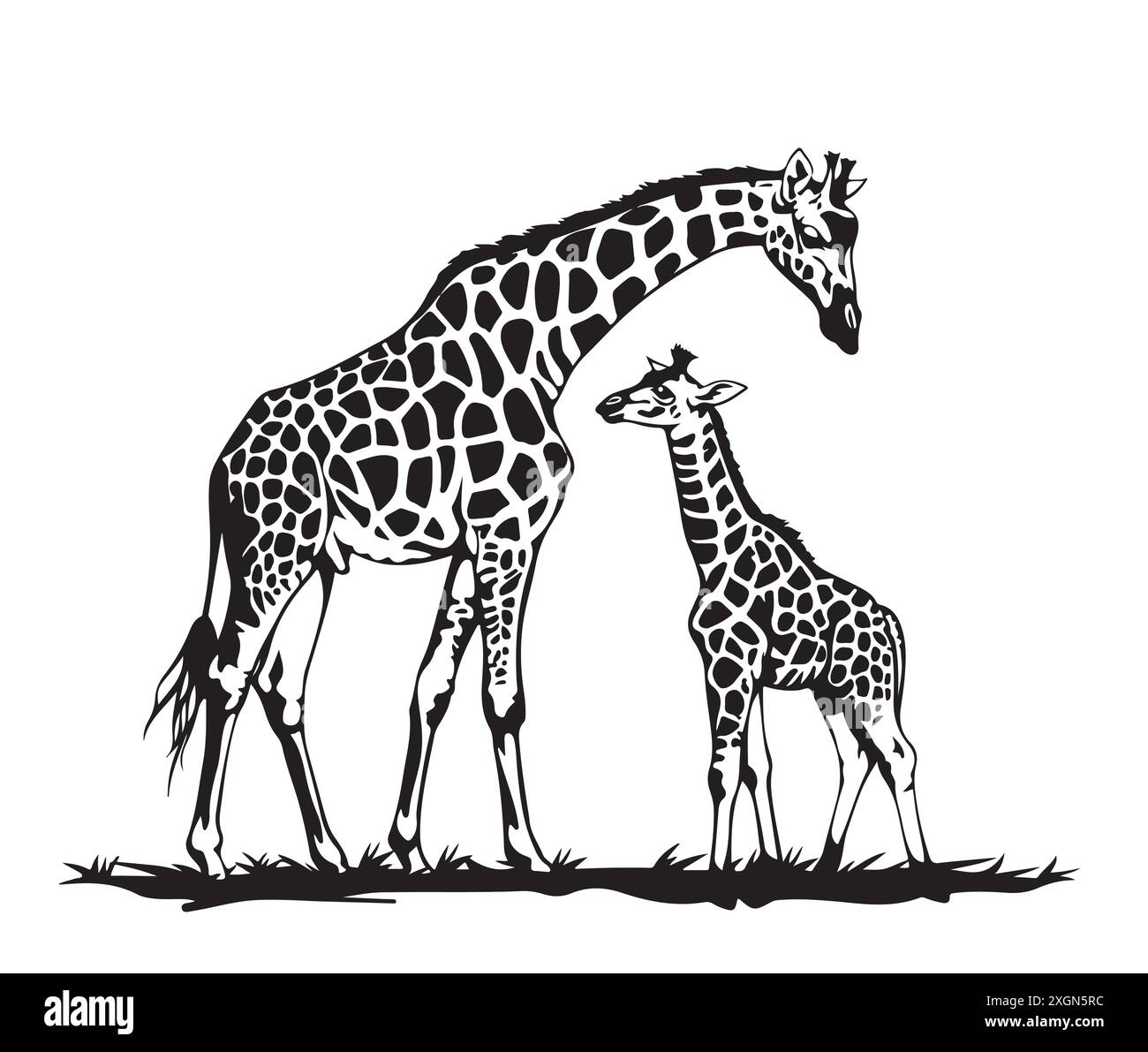 Mother and baby giraffes on a white background. Vector. Silhouette