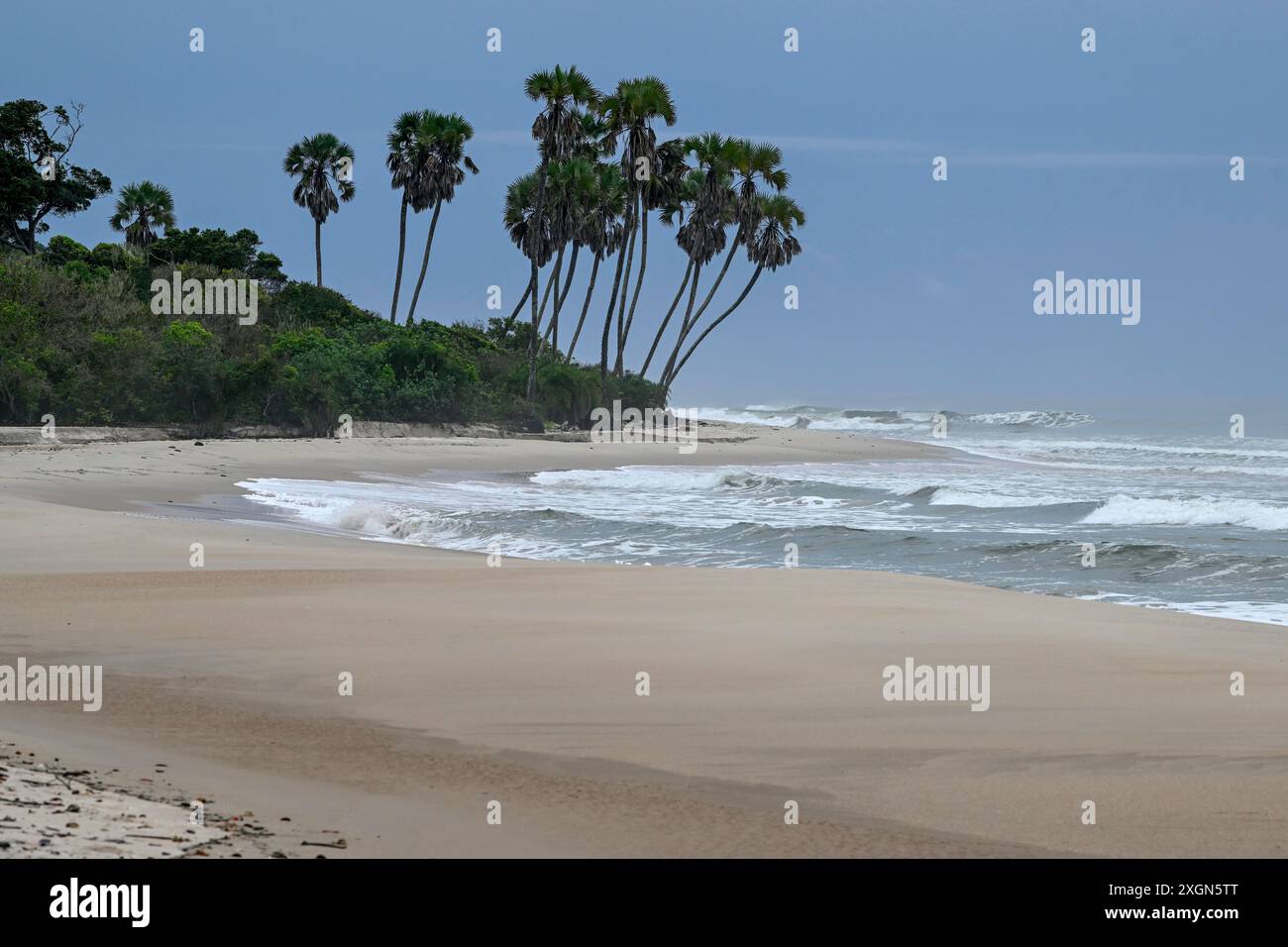 Beach, Petit Loango, Loango National Park, Parc National de Loango
