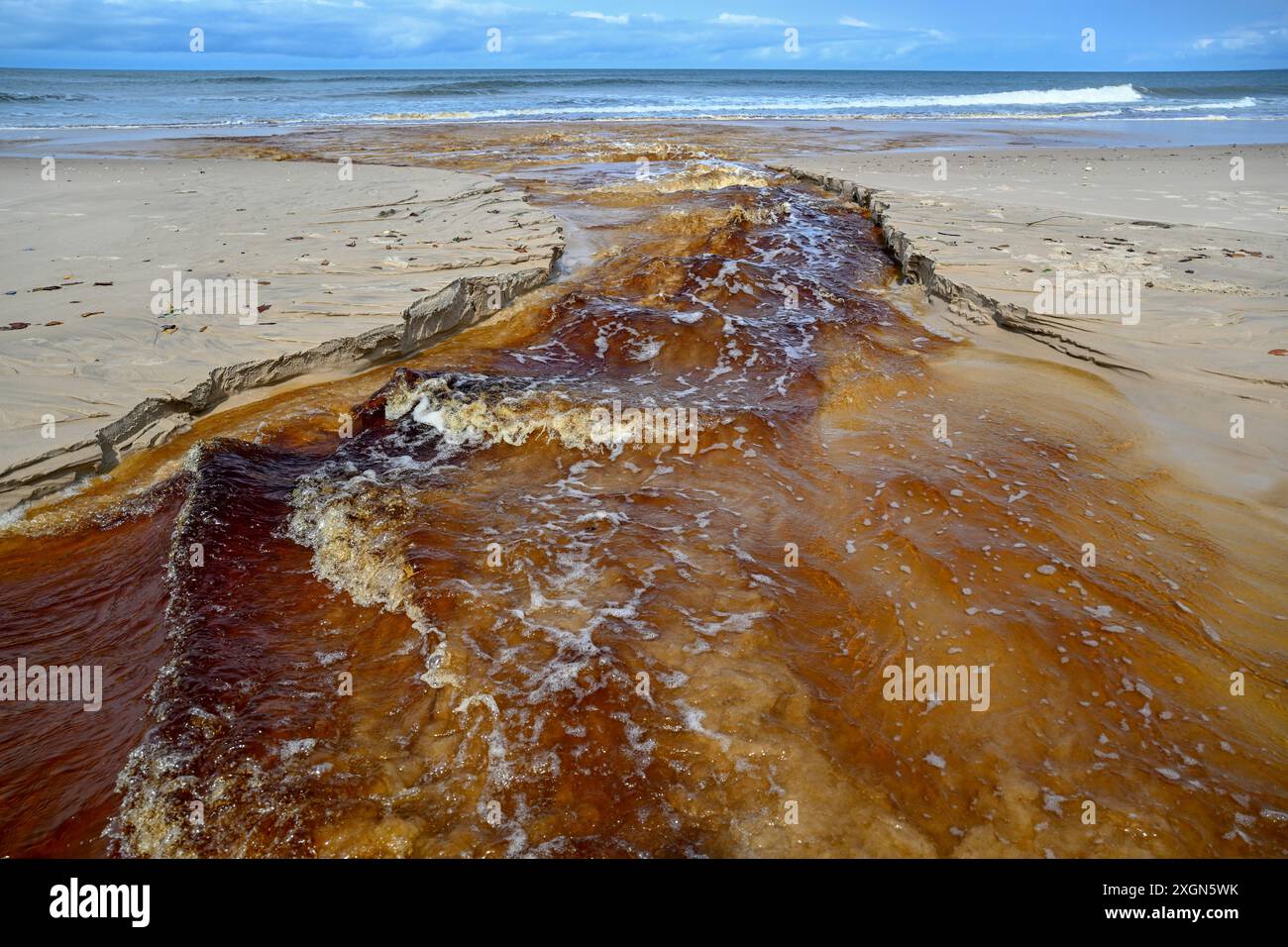 Tannic water from the Congo Basin flows into the Atlantic Ocean, Petit Loango, Loango National Park, Parc National de Loango, Ogooue-Maritime Stock Photo