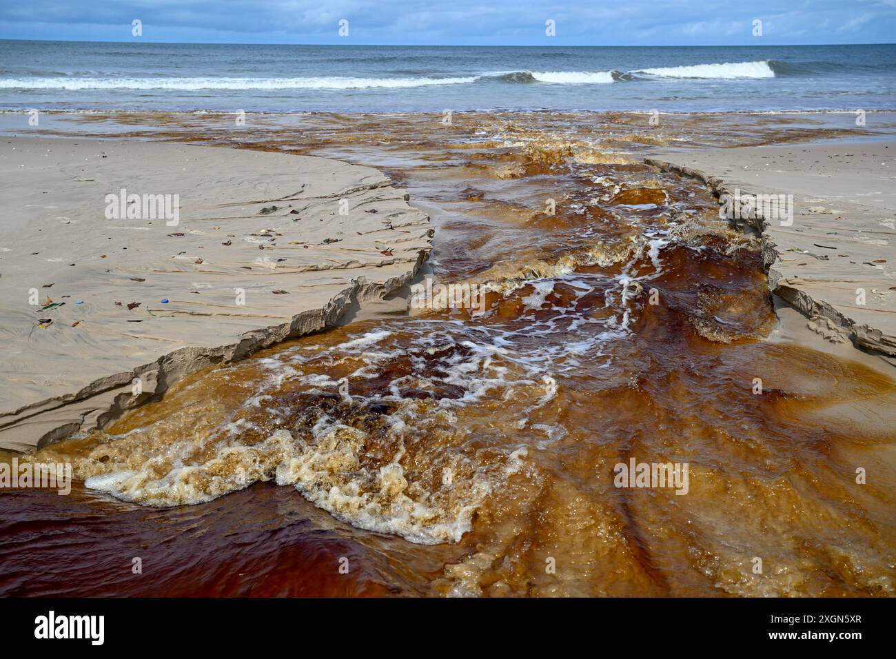 Tannic water from the Congo Basin flows into the sea, Petit Loango