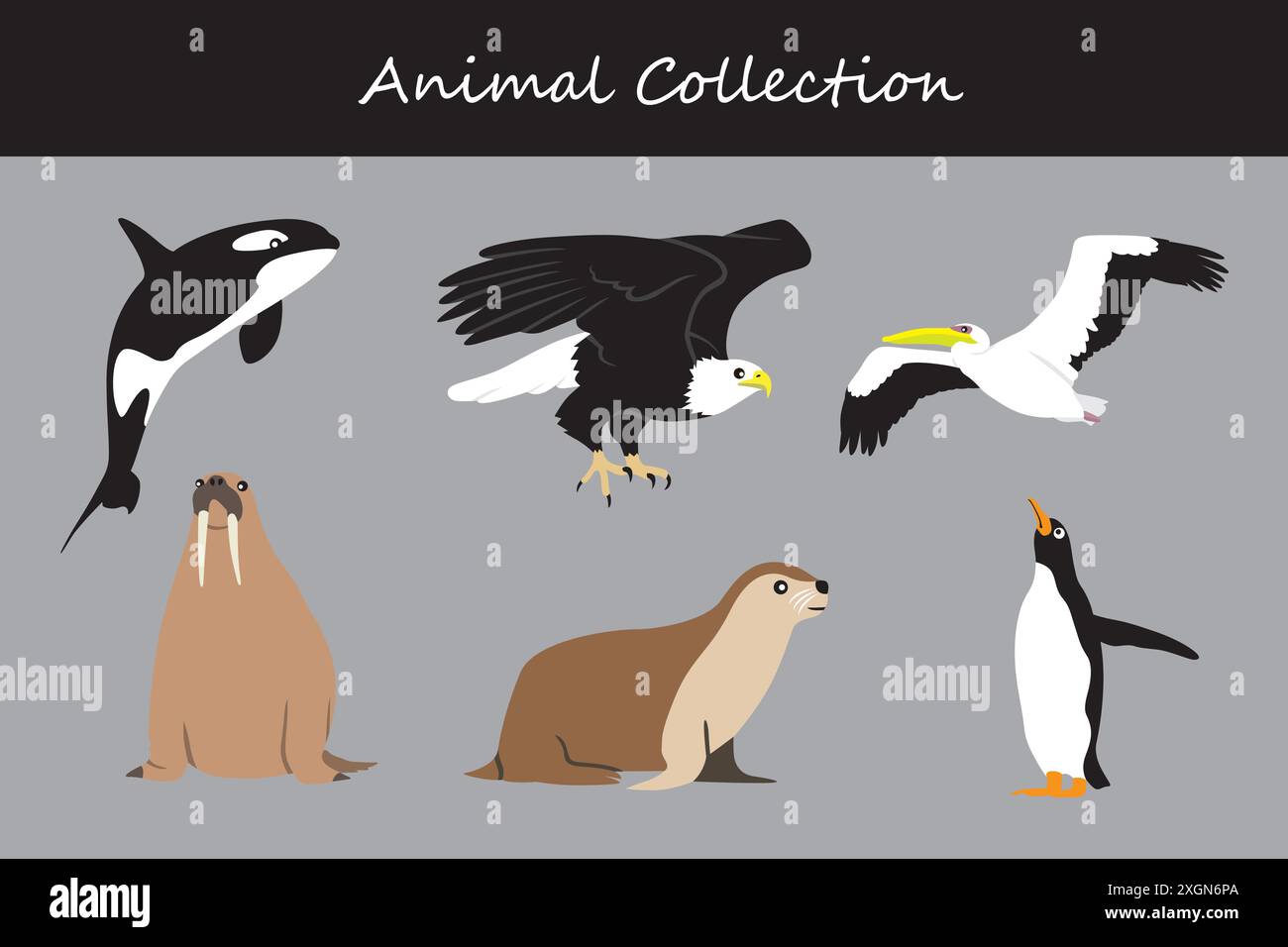 Animals collection. Flat style vector illustration Stock Vector Image ...